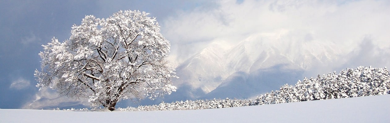 ちゃりの駅あじす近日オープン